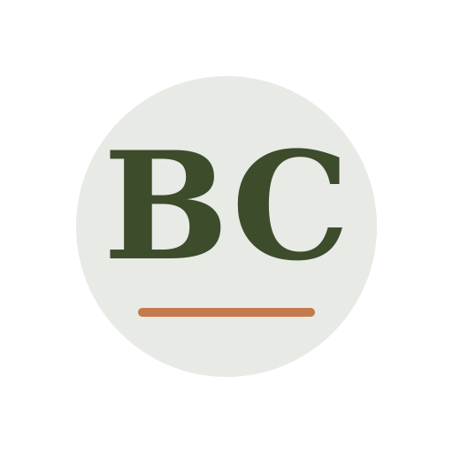 Berg Chimney Repair logo